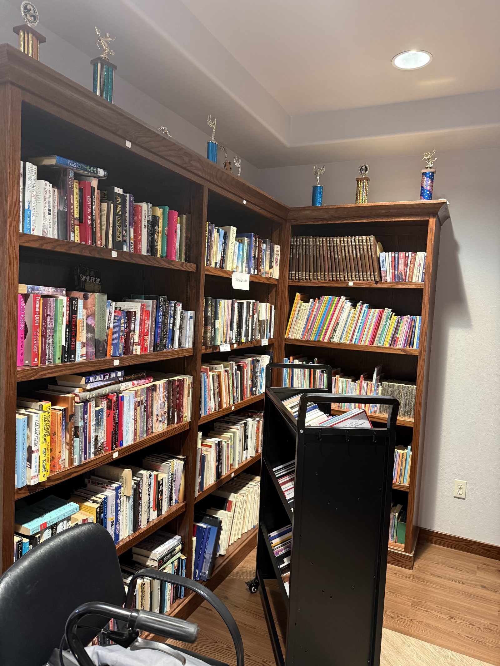A corner of the Dodge Library with a children's book section, a rolling book cart and trophies displayed on top of the shelves