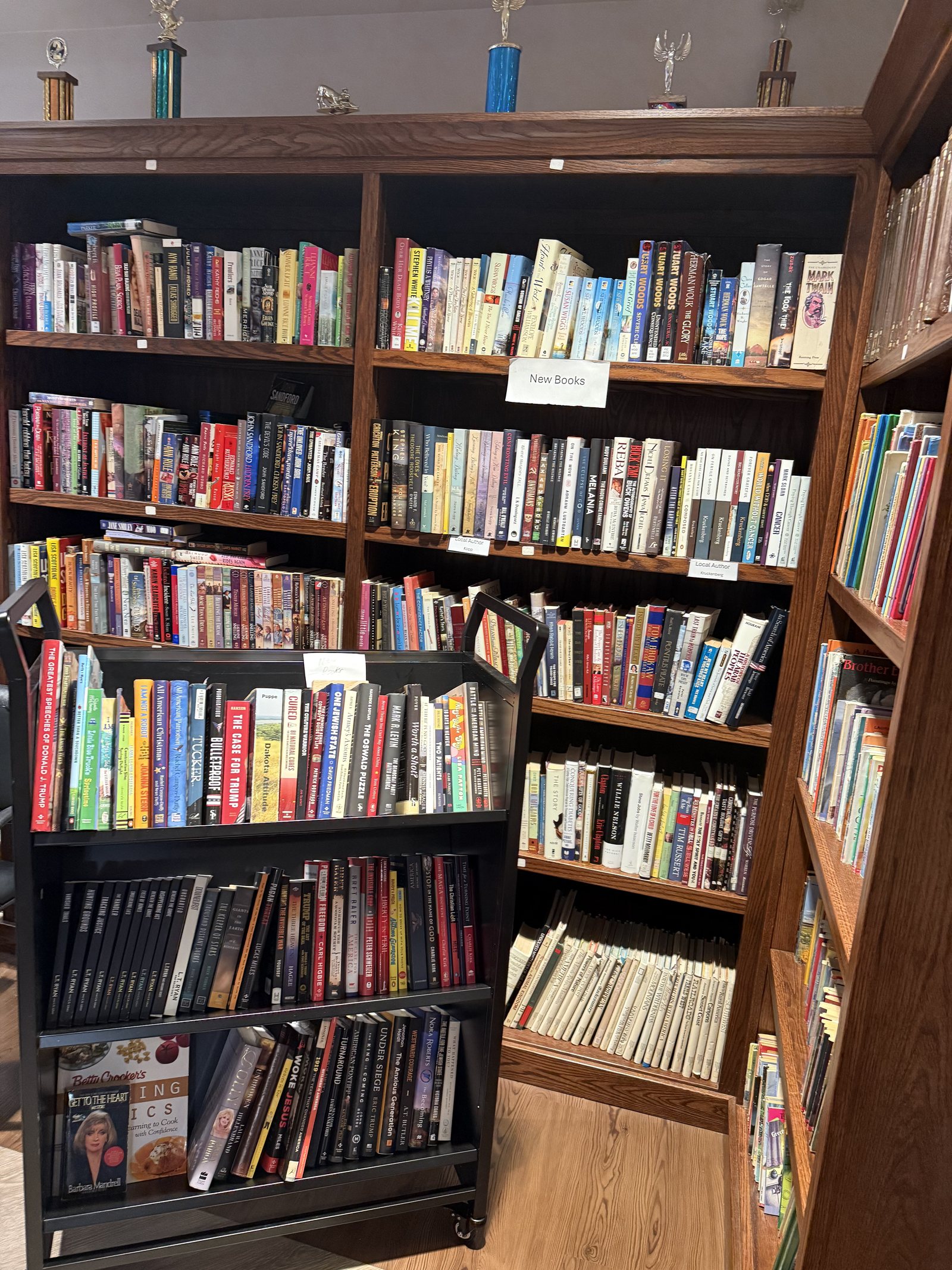 A shelf labeled New Books in the Dodge Library, with two shelves below it labeled Local Author
